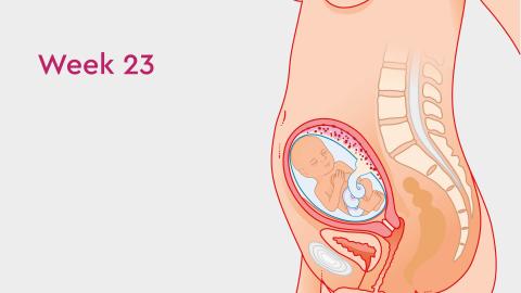 23 Weeks Pregnant Feeling Breathless Other Symptoms